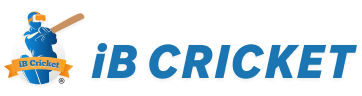 iB cricket | Partner of PINscale
